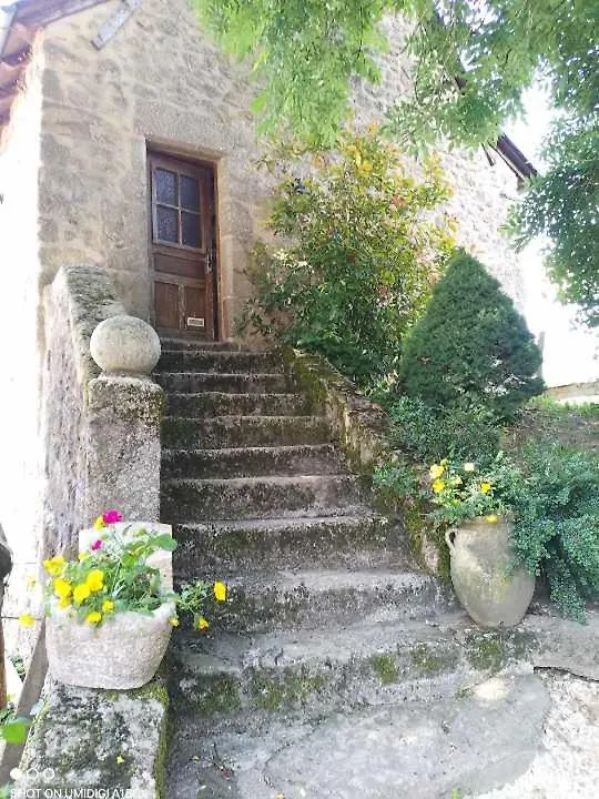 Gites Du Grc Campuac